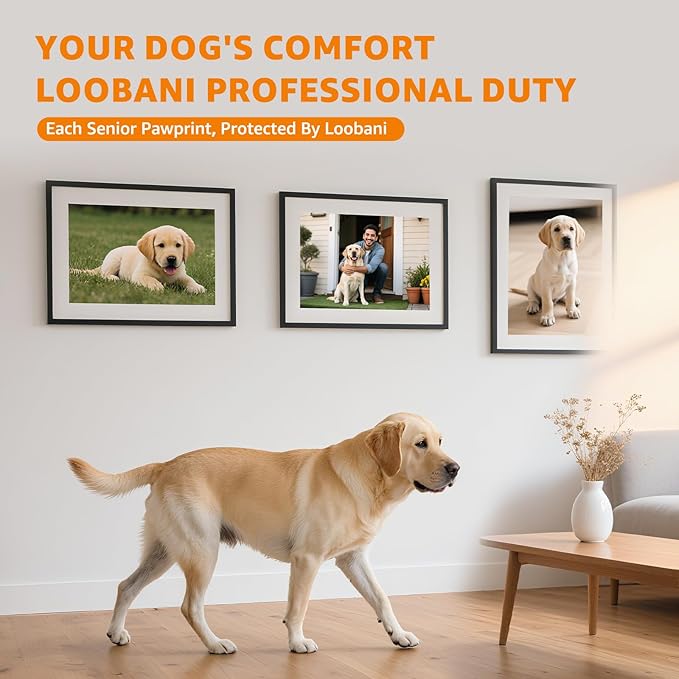 Paw Pads for Dogs Traction for Senior Dogs - Non Slip Sticky Dog Paw Grip Pads Covers, Anti-Slip Adhesive Dog Paw Pads for Slippery Hardwood Floors to Prevent Slipping While Walking Running