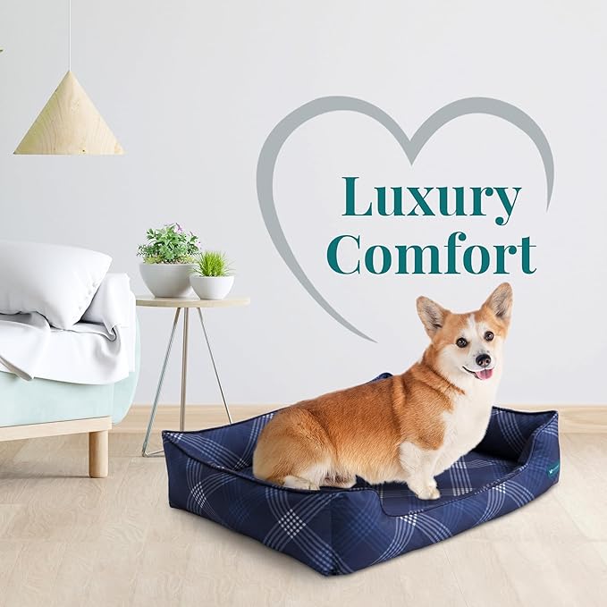 Orthopedic Bolster Dog Bed β CertiPUR-US Foam, Recycled Polyester Canvas, Washable Cover, Anti-Slip Bottom, Small, Navy Plaid β Stylish Designer Dog Sofa