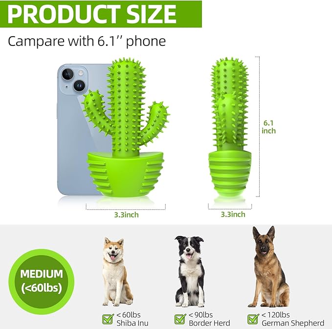 Dog Chew Toys, Toothbrush Stick Teeth Cleaning Brush Dental for Small Medium Large Dog, Rubber Squeaky Toys for Aggressive Chewers Cactus Tough Toys