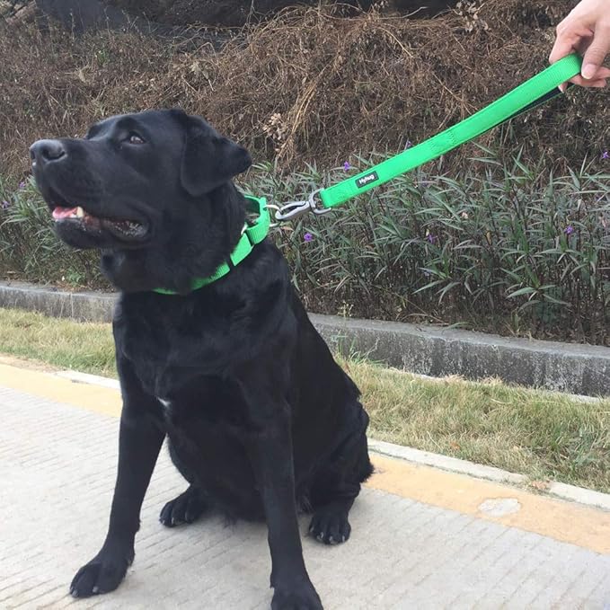 Hyhug Martingale Dog Collar Without Buckle: Escape-Proof, No Slip Heavy Duty Nylon, Colorfast Adjustable Pet Supplies for Large Breeds(Large, Lime Green)