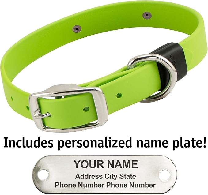 Biothane Custom Dog Collar – Waterproof, Stink-Proof Personalized Collar with Name & Phone Number – Durable, Many Sizes and Colors – Assembled in USA (Green Apple)