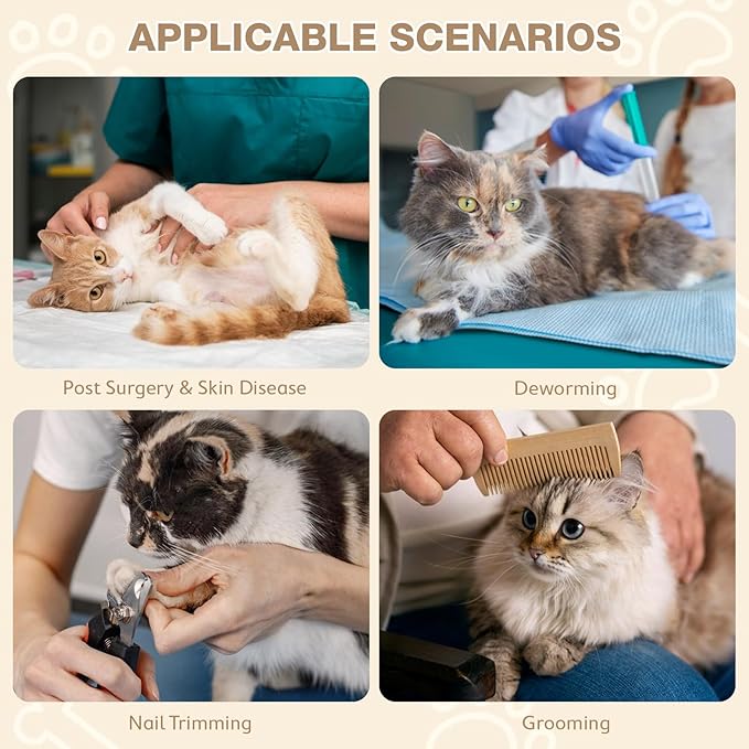 Avont Cat Cone Collar Soft to Stop Licking, Adjustable Foldable Lightweight Kitten Recovery Collar After Surgery for Small Dogs, Elizabeth Cone of Shame Alternative -Grape(L)