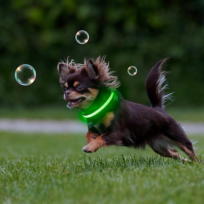 Flashseen LED Cat Collar,Light Up Dog Collar Rechargeable, Dog Lights for Night Walking, Comfortable Soft Mesh Pet Collar Adjustable for Cats Puppy and Small Dogs(Neon Green, XS)