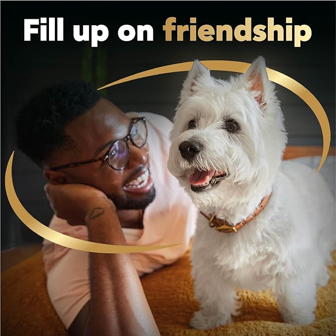 Cesar Filets in Gravy Wet Dog Food Wood-Grilled Chicken Flavor, 1.76 oz. Mini-Pouch (20 Count, Pack of 1)