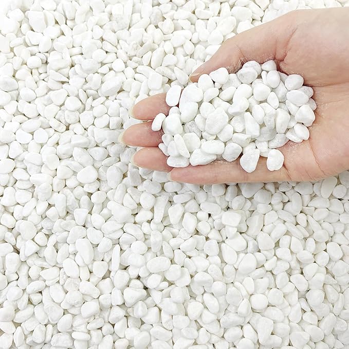 2 lbs White Gravel, 3/8 Inch White Pebbles for Indoor Plants. White Stones for Succulents, Planters, Vase and Outdoor Garden Landscaping