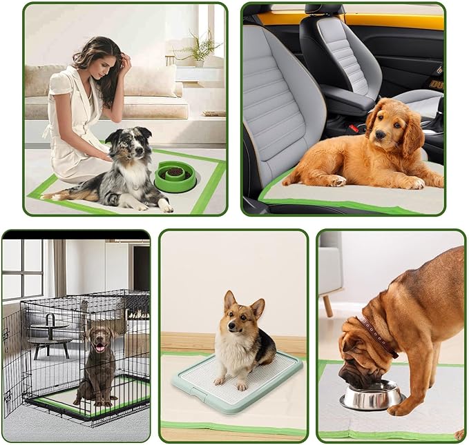 Gardner Pet Dog Pee Pads Rugular 22"x22", Thicker ECO Green Small Disposable Puppy Training Pads Super Absorbent Full Edge-Wrapping Pad for Dogs, Puppies, Doggies, Cats-(40 Count)