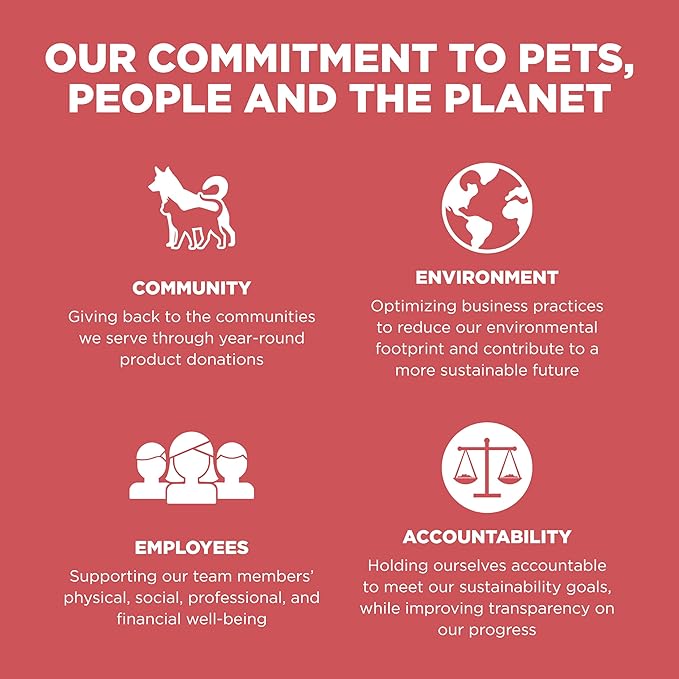 Go! Solutions Sensitivities Limited Ingredient, Grain-Free Dry Cat Food, Salmon Recipe for Sensitive Stomach, 3 lb Bag