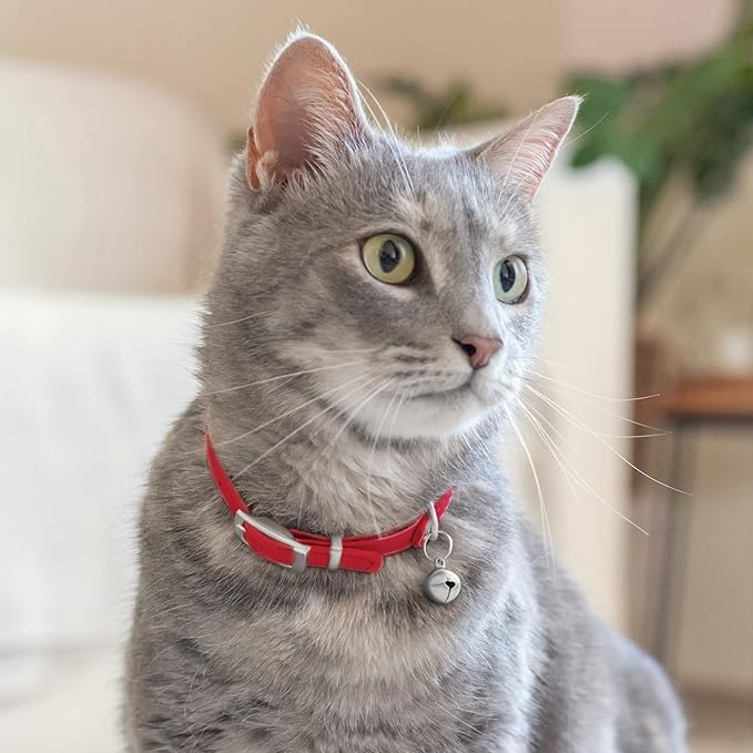 CollarDirect Leather Cat Collar with Bell - Kitten Collar, Small and Big Cat for Boy Cats, Girl Cats with Safety Elastic Strap (Neck Fit 8"-11", Red)