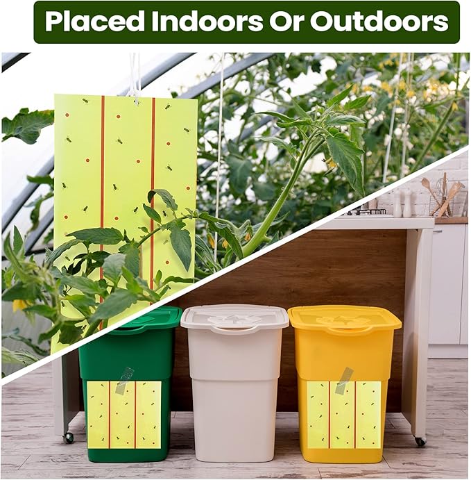 Qualirey 295 ft Giant Sticky Fly Traps, 30 Feet Fly Strips for Indoor Outdoor Hanging Flying Tapes Non Toxic Ribbon Fruit Gnat Killer for Mosquito Plants House Horse Stable (Fluorescent Green)