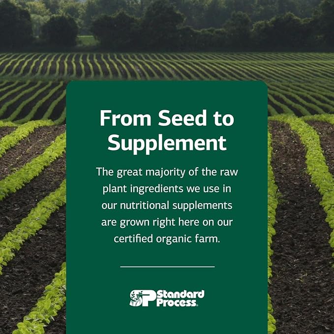 Standard Process Inc. Feline Whole Body Support - Nutritional Cat Supplement for Multisystem Support - Feline Daily Maintenance Supplement - 90 Tablets