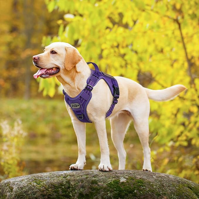 rabbitgoo Dog Harness Medium Sized No Pull, Tactical Service Pet Vest with Molle and Control Handle, Adjustable and Reflective Military Harness for Easy Walking and Training, Purple, M