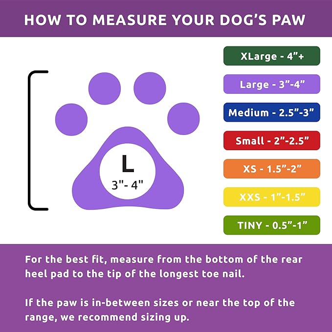 PawZ Rubber Dog Boots for Paws up to 4", 24 Total (2 Packs of 12) - All-Weather Dog Booties for Hot Pavement, Snow, Mud, and Rain - Waterproof, Anti Slip Dog Socks - Large, Purple