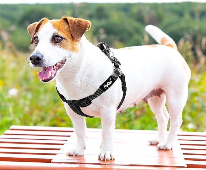 PUPTECK No Pull Dog Harness Soft Adjustable Basic Nylon Step in Puppy Vest Outdoor Walking with ID Tag, Reflecive Black, S