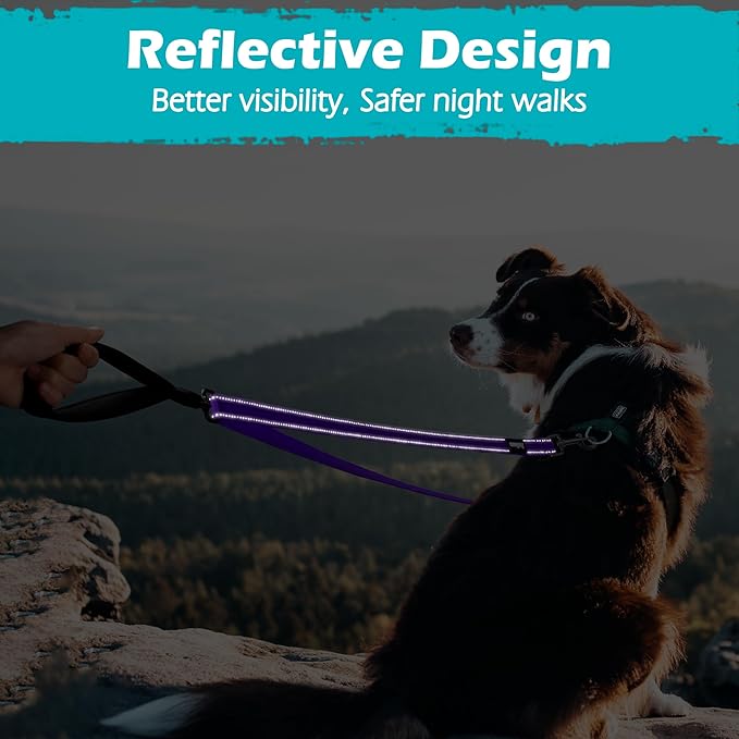 PetBonus Two Point Control Dog Leash, Works with No Pull Harnesses, No Tangle Dog Training Leashes, No Pull Padded and Reflective Walking Lead, Converts to Single Leash for Medium Large Dogs (Purple)