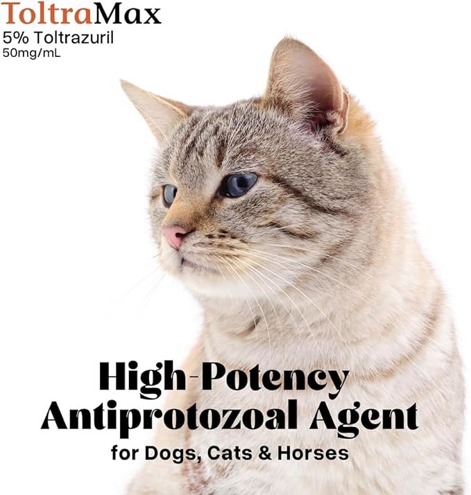 Vetr's Toltramax Toltrazuril Powder for Horses, Dogs, Cats, 100g (5.0%, Beef)