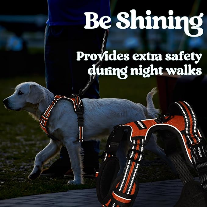 rabbitgoo Dog Harness Medium Sized, No Pull Pet Harness with 3 Buckles, Adjustable Soft Padded Vest with Control Handle, Walking Reflective Pet Vest for Medium Dogs, Orange, M