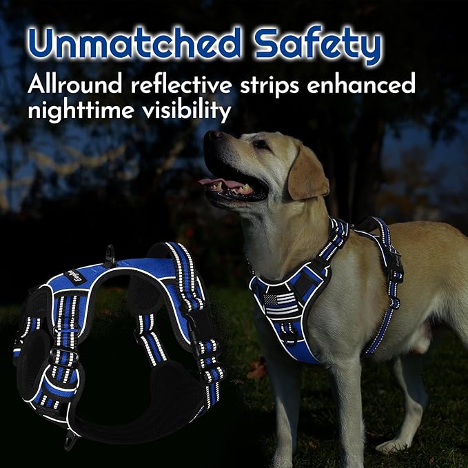 Eagloo Dog Harness Small Sized, Easy Wearing with 3 Buckles, Adjustable No Pull Pet Harness with 2 Rings for Walking, No Chock Reflective Soft Padded Vest with Control Handle, Blue & Black, S