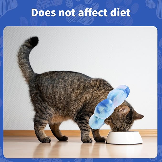 Dog Cat Surgical Recovery Cone Dog Protective Collar, Pet Recovery E-Collar Soft Neck Cone to Stop Licking Wound for Cats & Kittens Small Dog After Surgery