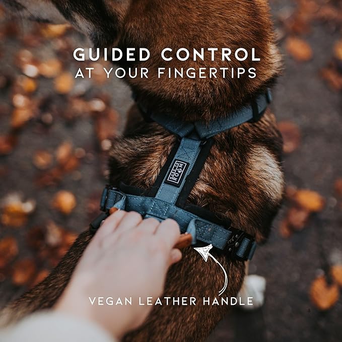 MADE TO ROAM Premium Explorer Harness - Y-Shaped Dog Harness with Adjustable Durable Nylon, Soft Padding, Metal Buckles and Leather Handle for Small, Medium, Large Dogs (Arizona Heartbeat, Size 2)