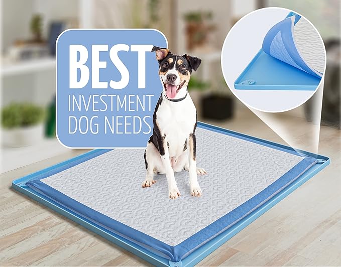 Skywin TidyFriend 3 Pk Pee Pad Holder Tray for 30” x 23” Pee Pads with Corner Lock Holes, Raised Edges, Non-Spill, Easy to Clean Silicone Dog Potty Tray Holder, for Indoor Floor Protection (Blue)