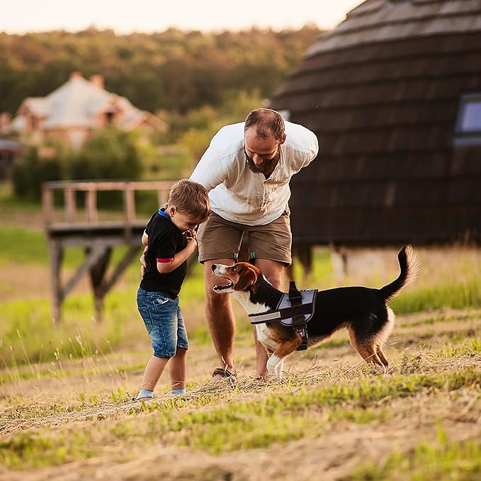 Dogline Dog Harness, Reflective No-Pull Adjustable Vest with Handle for Walking, Training, Service Breathable No - Choke Harness for Small, Medium or Large Dogs Room for Patches Grey XL 33"-46"