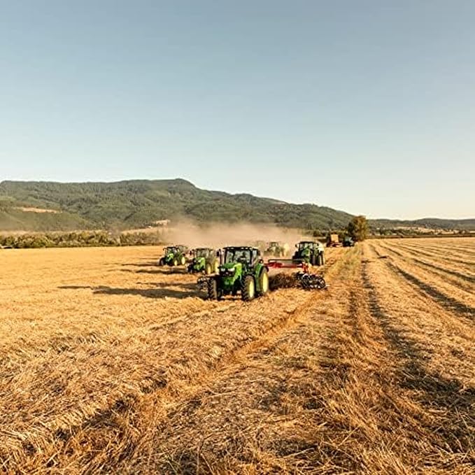 Blue Mountain Hay | Fresh 2nd Cutting Timothy Grass Hay (25 Pounds) | Soft & Leafy, Balanced Nutrition | High-Altitude Hay Pet Food for Adult Rabbits, Guinea Pigs, Chinchillas, and Other Small Pets