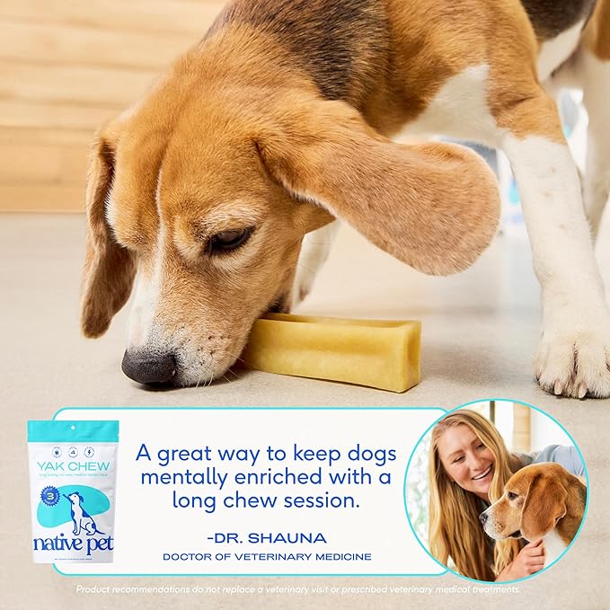 Native Pet Yak Cheese Himalayan Dog Chews - Long Lasting Dental Sticks for Medium Breeds – 100% All Natural Himalayan Yak Chews for Medium Dogs – Cheese Bone for Aggressive Chewers - 10 Per Pack