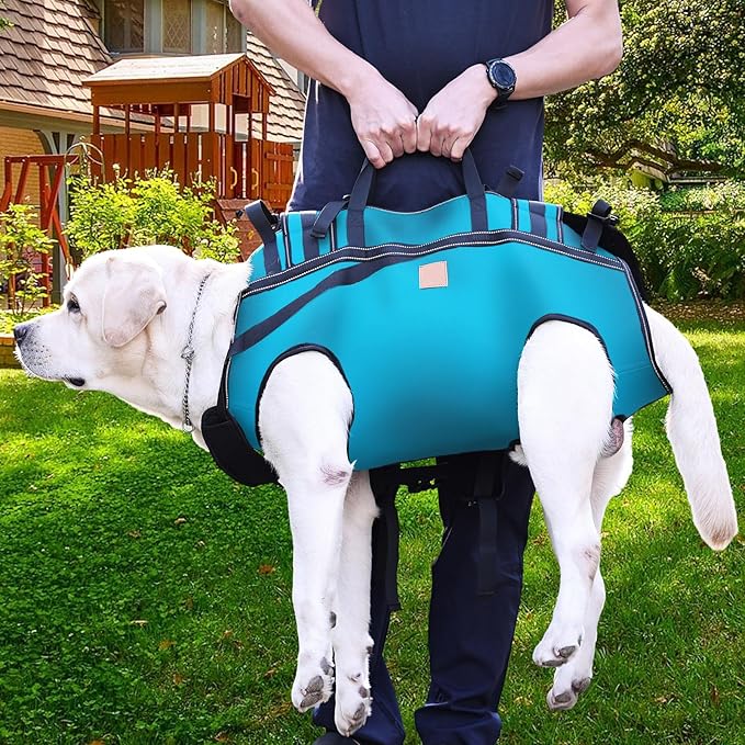 Dog Lift Harness Backpack Carrier for Large Dogs, Full Body Sling with Handle, Dog Harness for Joint Injuries, Arthritis, Ideal for Stairs, Elderly Dogs (Blue XXX-Large 66-83 LBS)
