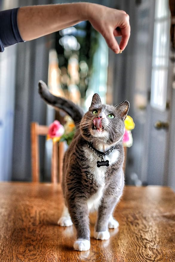 Smile Daily Dental Health Soft Chews for Cats, Support Healthy Teeth and Fresh Tongue with Catnip and Green Tea, Prebiotics, and Chlorophyll for Fresh Breath