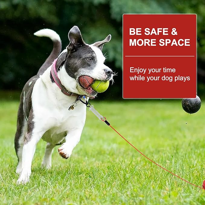 Snagle Paw Dog Tie Out Cable 30FT-1000LBS Break Strength,Heavy Duty Dog Leads for Yard with Shock Absorbing Spring & Swivel Hook,Long Leash Cable for Outdoor Tethering,Dog Line for Small Large Dogs