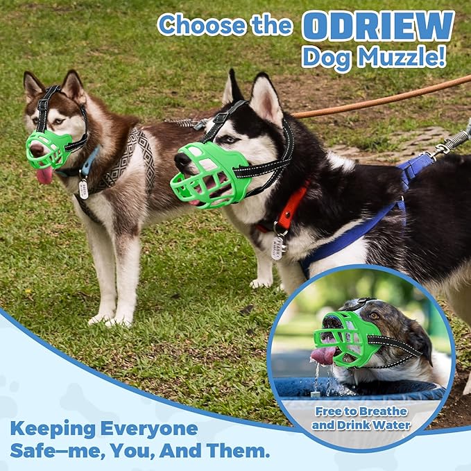 Dog Muzzle for Large Dogs, Breathable Basket Muzzles for Small, Medium and X-Large Aggressive Dog, Allows Panting Drinking, Suitable for Grooming Trimming Training (4, Luminous Green)