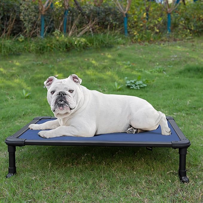 Veehoo Chew Proof Elevated Dog Bed - Cooling Raised Pet Cot - Rustless Aluminum Frame and Durable Textilene Mesh, Unique Designed No-Slip Feet for Indoor or Outdoor Use, Blue, Medium, CWC2002