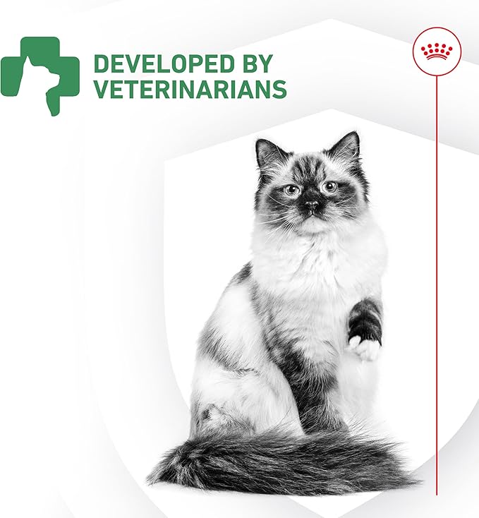 Royal Canin Probiotics for Cats Digestive and Immune Health Powder Supplement for Cats of All Ages, 7 Count