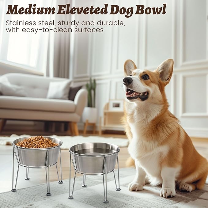 Elevated Dog Bowls for Medium&Small Dogs - Stainless Steel 48oz/6 Cups Raised Feeder with Non-Slip Base, Dual Food & Water Bowls 2-Pack