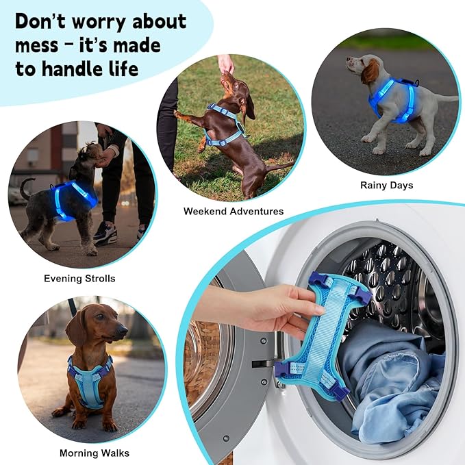 Rechargeable Light Up Dog Harness for Small Dogs – Adjustable LED Dog Vest with Reflective Strips, No Pull Glow in The Dark Puppy Harness for Night Walking Safety-Blue