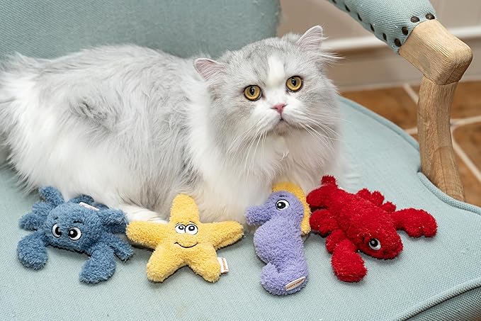 Interactive Catnip Cat Plush Toy, Ocean Theme, 5'', for All Breed Size Cats (Starfish)