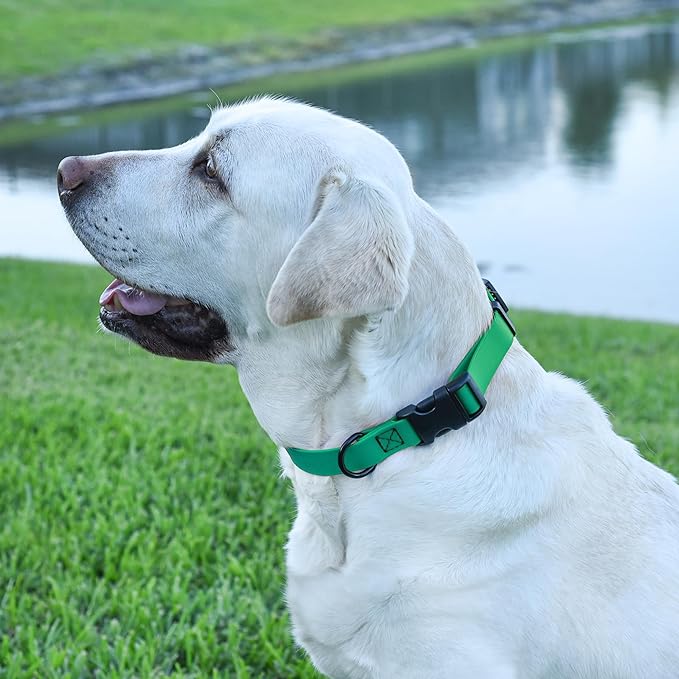 Dogline Biothane Waterproof Dog Collar with Quick Release Buckle Strong Coated Nylon Webbing with Odor- Proof for Easy Care Easy to Clean Fits Small Medium Large Dogs, Teal 5/8" W 9-14" L