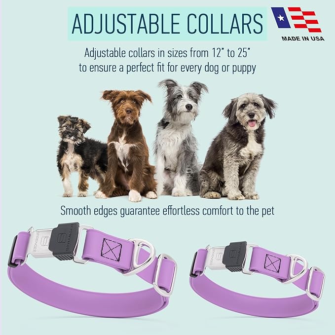Dogline Biothane Waterproof Dog Collar with Herm Sprenger Stainless Steel Quick Release Buckle – Heavy Duty Tactical Durable Collar for Dogs – Comfortable and Safe Pet Collar, W 1" L 15-25", Amethyst