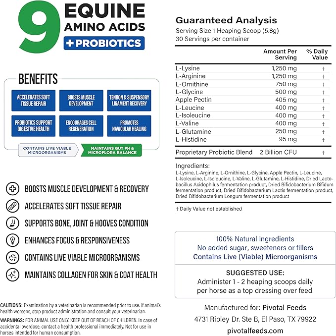 Pivotal Power+ Horse Supplement (174g/0.38lbs - 30 Servings) - 9 Equine Amino Acids Plus Probiotics for Horses - No Added Sugar, No Soy, No Fillers - Horse Joint Support Supplement, White