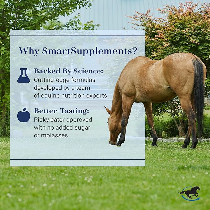 SmartLytes Horse Electrolyte Powder Supplement | Encourages Hydration, Replenishes Electrolytes | No Added Sugar | Cherry Flavor | 56 Servings | 3.5 lb Bucket