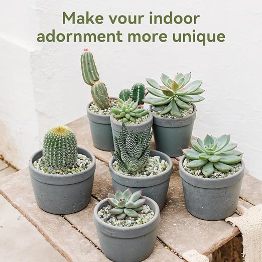 2.5LB Succulent and Cactus Pebbles, 1/5 Inch Jade Pebbles for Indoor Plants, Decorative Gravel for Vases, Bamboo, Succulent, Terrarium, Crafts, Cactus