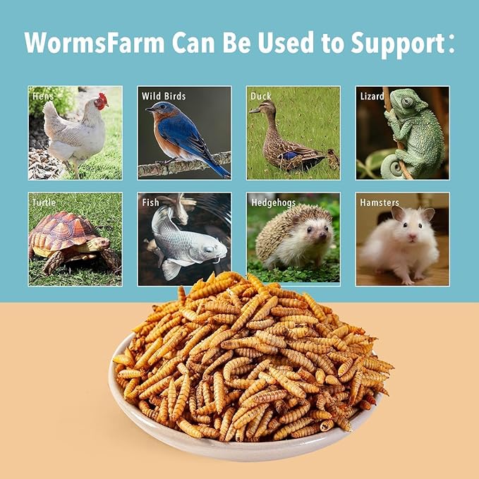 5LB Dried Black Soldier Fly Larvae Treat for Chicken More Calcium Than Mealworms,for Laying Hen,Wild Birds (5 Pound)