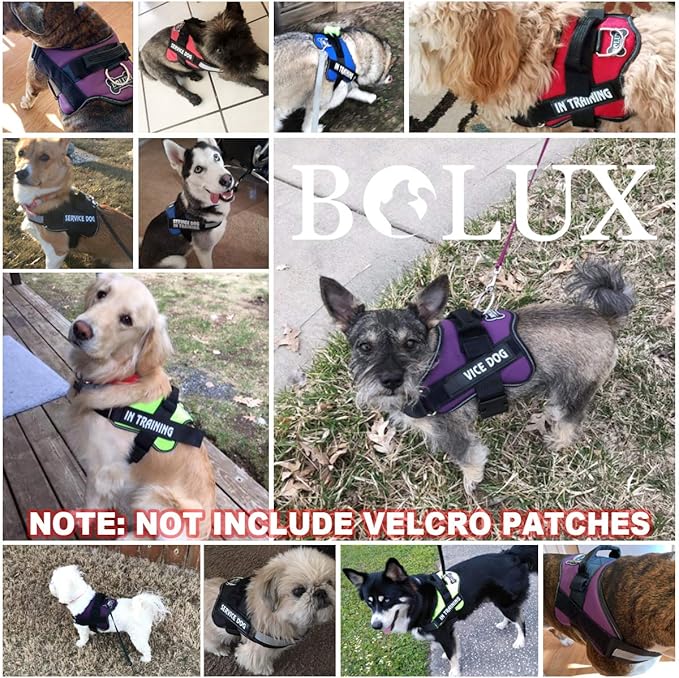 Bolux Dog Harness, No-Pull Reflective Dog Vest, Breathable Adjustable Pet Harness with Handle for Outdoor Walking - No More Pulling, Tugging or Choking (Purple, XL)