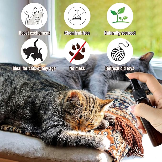 Catnip Spray with Silvervine Fruit,More Appealing Than Catnip Spray,Cat Scratch Spray for Outdoor Training,Fits All Cats,50ml/1.69fl oz