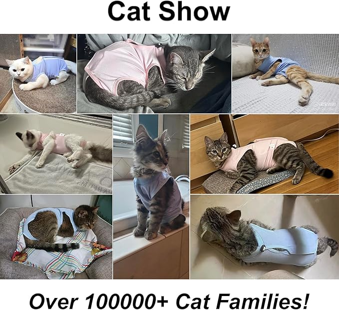 Cat Recovery Suit, Surgical Recovery Clothes for Abdominal Wound or Skin Disease, Cats Onesie After Surgery and Spay, E-Collar Alternative Pajama Suit (Pink, Medium)
