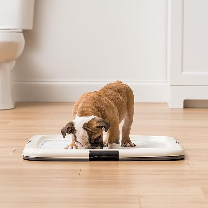 IRIS USA Pee Pad Holder - For Potty Training Regular Sized Dog & Puppy Pee Pads, Secured Latches, Non-Skid Feet, Leak Protection, Fits 22"x22" Pad or Larger, Square, Dark Gray