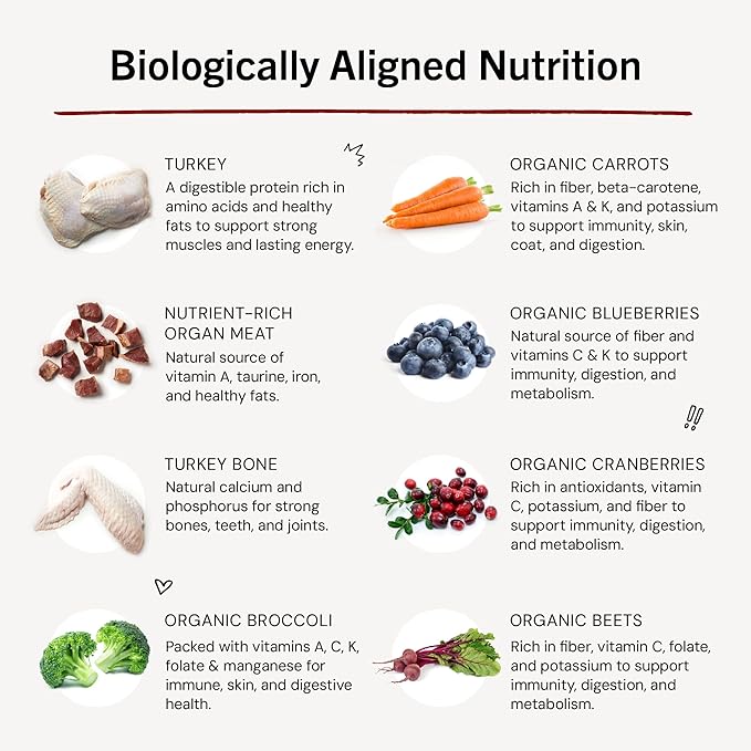 Stella & Chewy's Freeze-Dried Raw Dinner Patties - Turkey Recipe - High Protein Grain-Free Puppy & Dog Food - Perfect For Picky Eaters - 14 oz