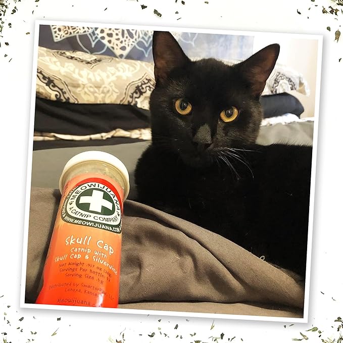 Meowijuana Jump 'n' Jamb Door Hanging Cat Toy | Sloth | Refillable Interactive Catnip Toy | Promotes Play and Cat Health | Includes Potent Catnip Grown in North America