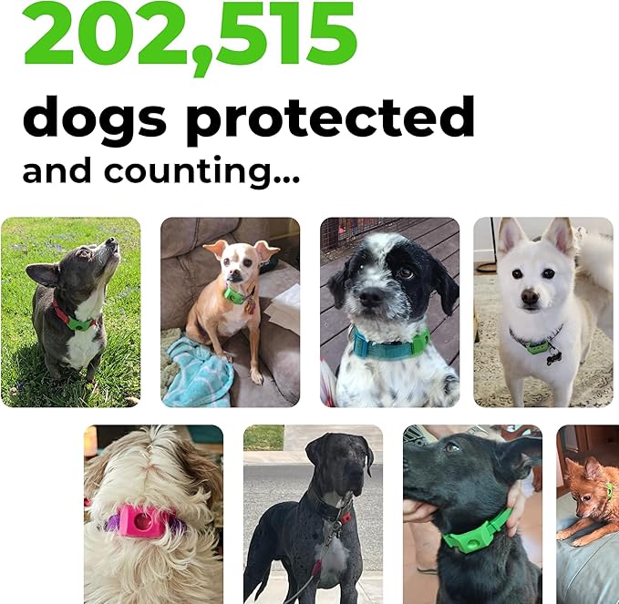 FurLife Pink Dog Tag, Flea and Tick Prevention for Dogs - Waterproof Pendant for Collar, Safe for All Breeds