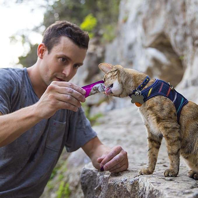 Nulo Freestyle Grain-Free Perfect Purees Premium Wet Cat Treats, Squeezable Meal Topper for Felines, High Moisture Content to Support Cat Hydration, 48 x 0.5 Oz, Chicken